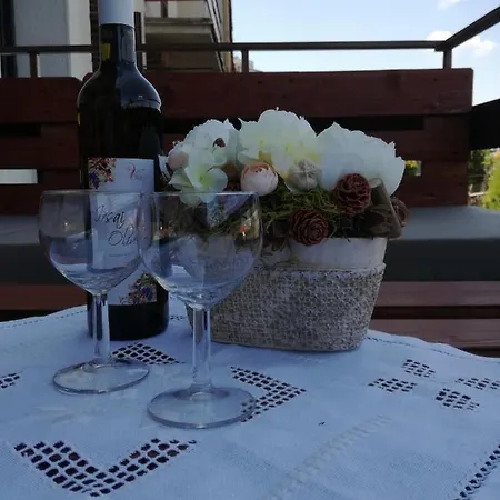 Viktoria Holiday home Dunajska Streda